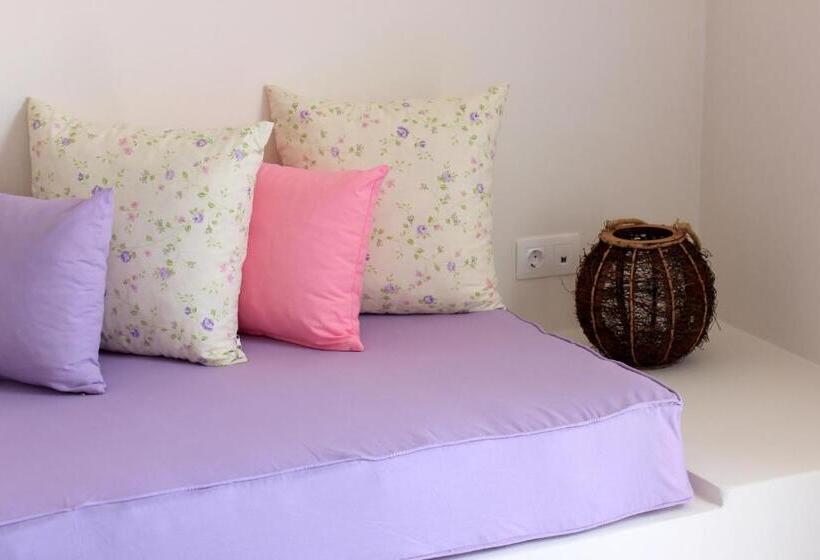 إستوديو قياسى, Drimoni Boutique