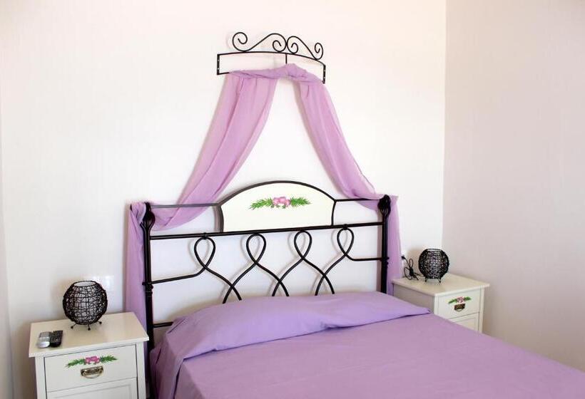 إستوديو قياسى, Drimoni Boutique