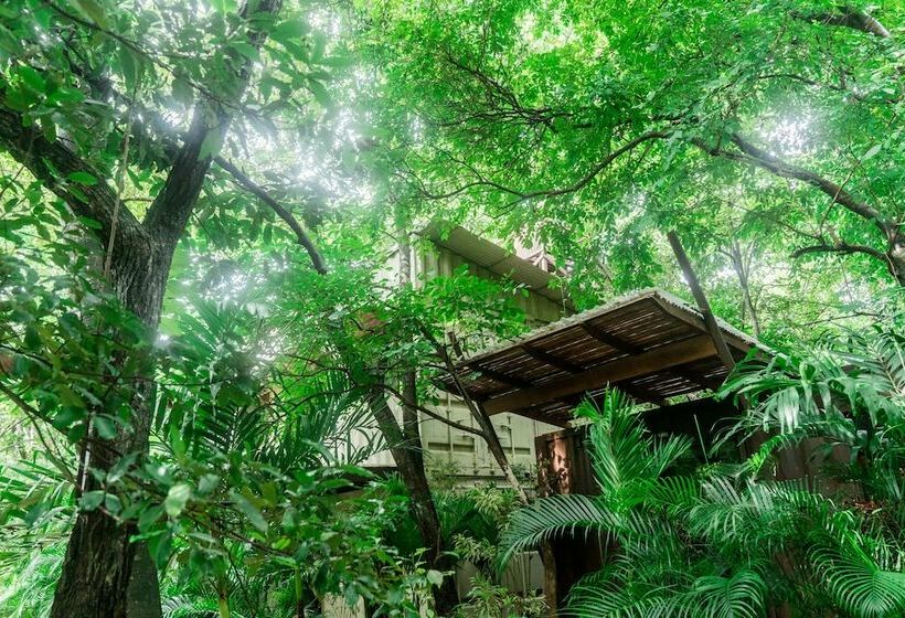 اتاق استاندارد سه تخته با چشم‌انداز باغ, Green Sanctuary