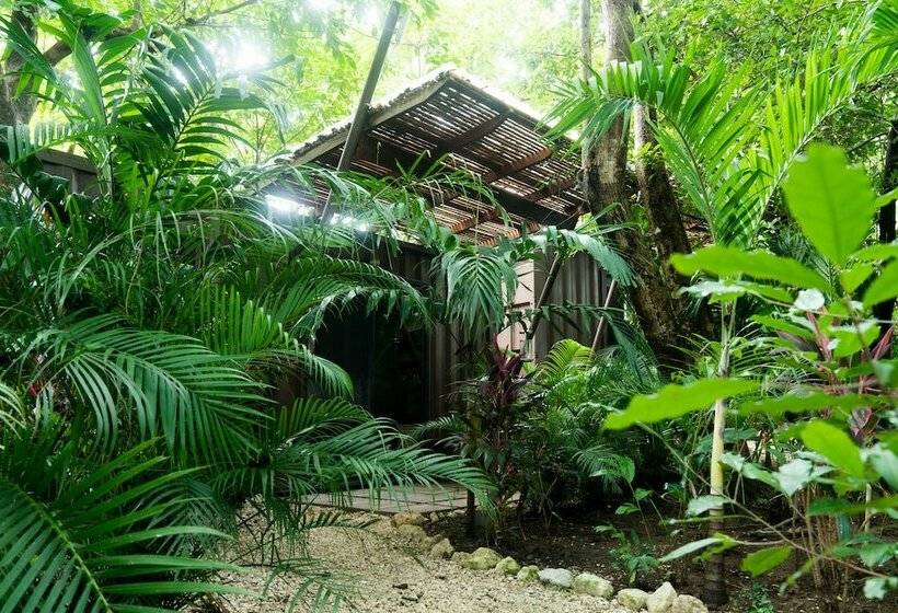 اتاق استاندارد سه تخته با چشم‌انداز باغ, Green Sanctuary