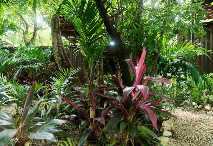 اتاق استاندارد سه تخته با چشم‌انداز باغ, Green Sanctuary