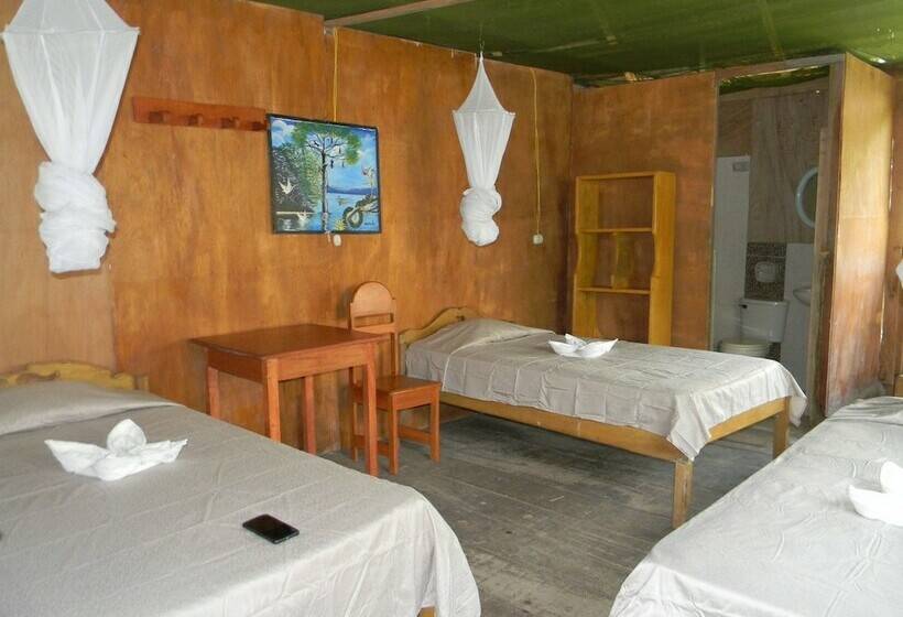 اتاق استاندارد چهار تخته, Jacamar Lodge Expeditions