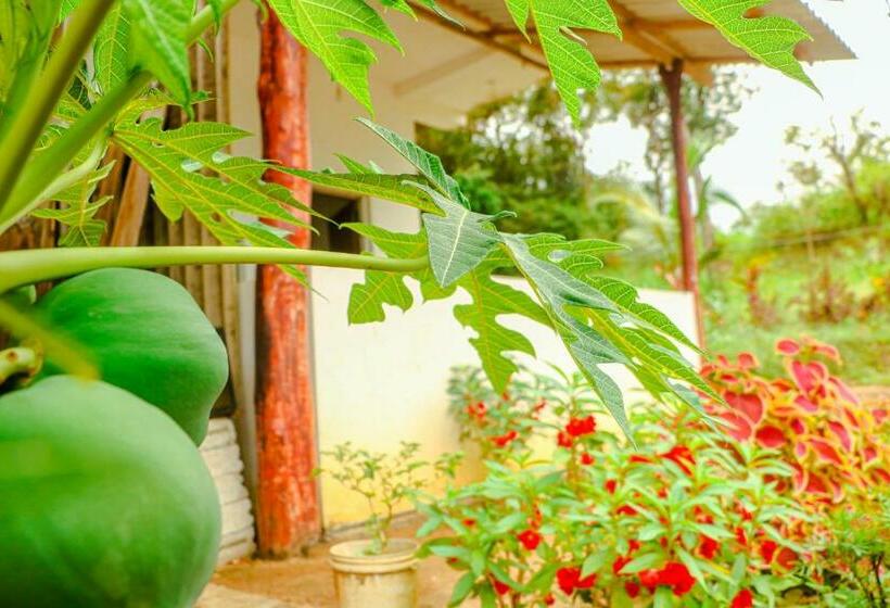 اتاق استاندارد, Sigiri Gayani Home Stay