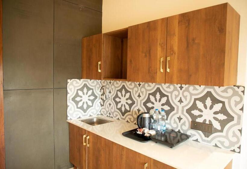 استودیوی استاندارد, Palm Villas