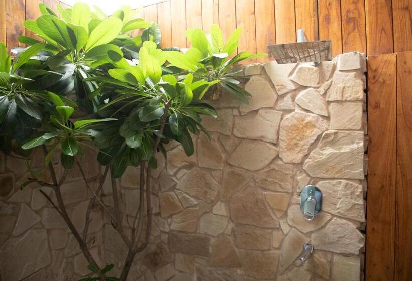 ویلای 2 خوابه, Palm Villas