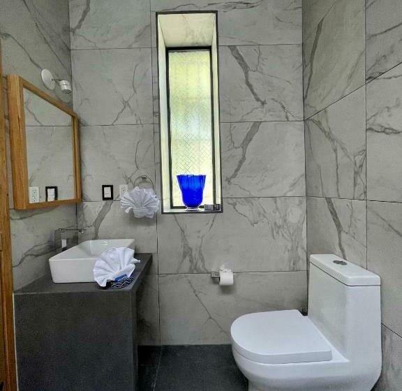 اتاق سوپریور با تخت بزرگ, Larimar Gallery Y Hotel Boutique