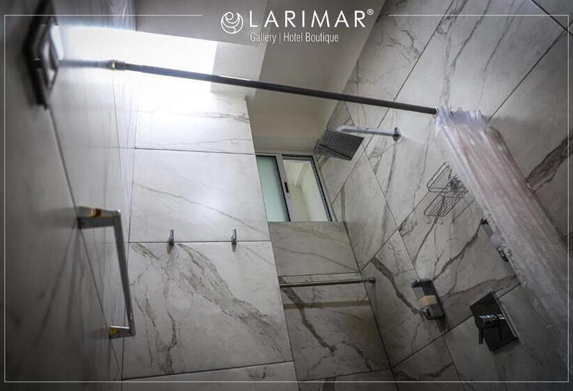 اتاق استاندارد با تخت بزرگ, Larimar Gallery Y Hotel Boutique