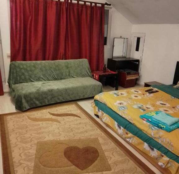 家庭间, Casa Mocanu
