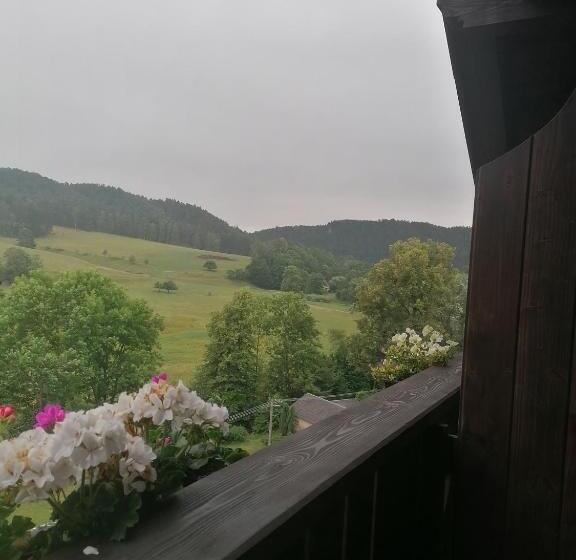 Номер Стандарт с Балконом, Penzion Henke