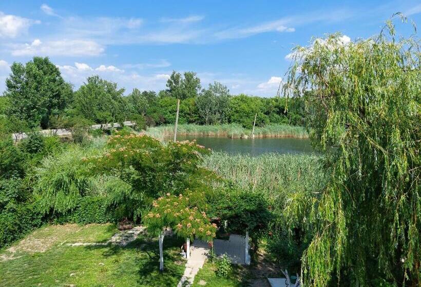패밀리 룸, Vila De Pe Lac Amara