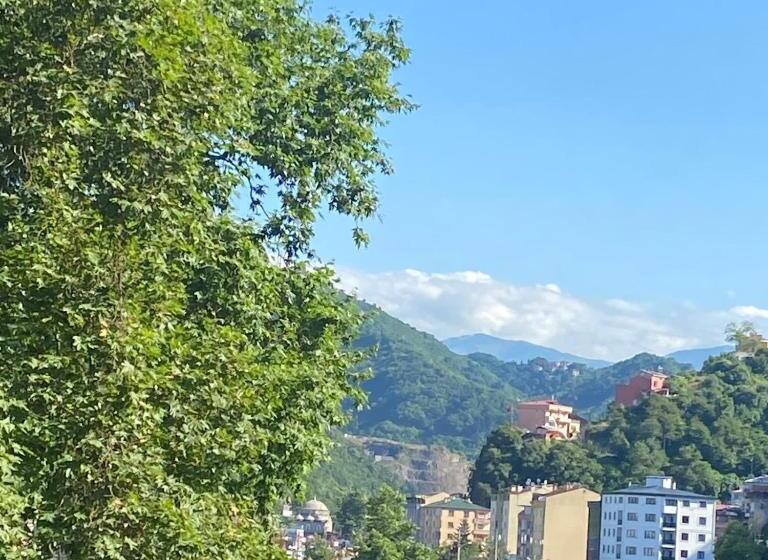 اتاق لوکس, Türkler Suite