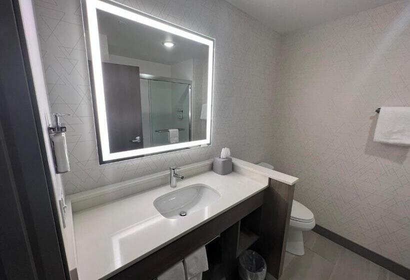 장애인을 위한 스위트, Holiday Inn Express & Suites   Tomah, An Ihg