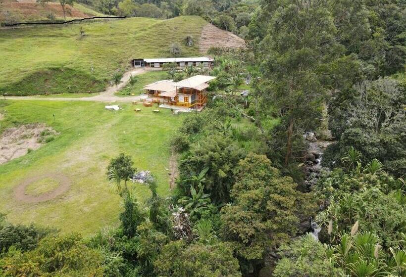 اتاق استاندارد, Hospedaje Campestre El Rancho De Jero