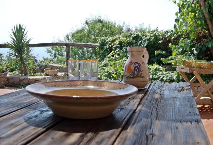 Апартаменты 1 Спальня с Террасой, Trullo Mediterraneo  Santa Maria Di Leuca