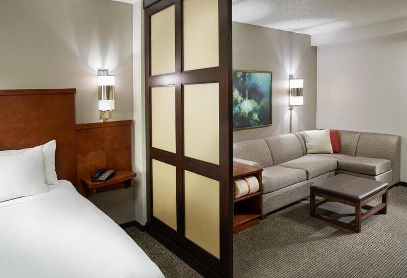 带大床的标准间, Hyatt Place Grand Rapids South