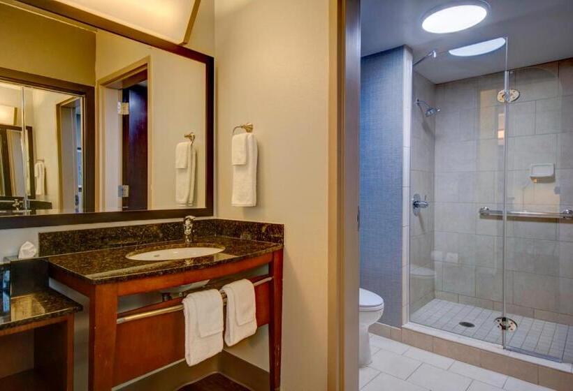 带大床的标准间, Hyatt Place Grand Rapids South