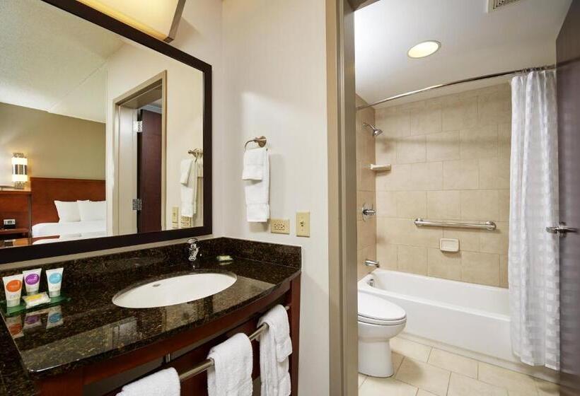高级寓所标准房间, Hyatt Place Grand Rapids South