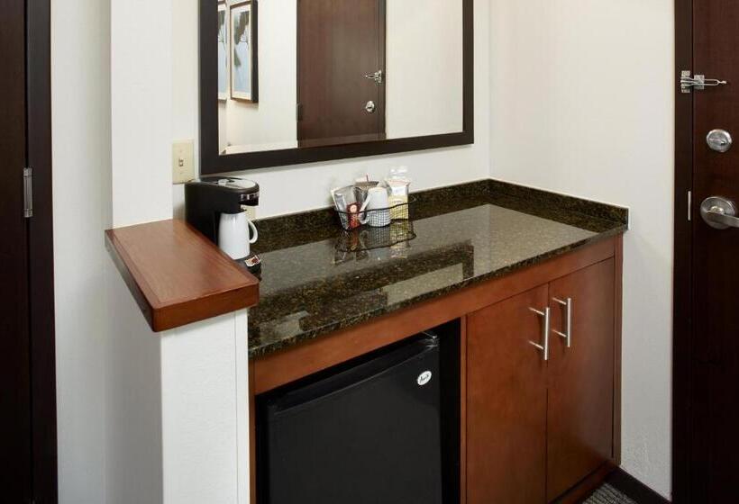 适合残疾人士使用的带超级大床的标准间, Hyatt Place Grand Rapids South