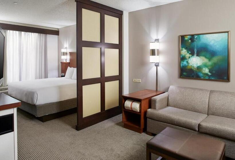 适合残疾人士使用的带超级大床的标准间, Hyatt Place Grand Rapids South