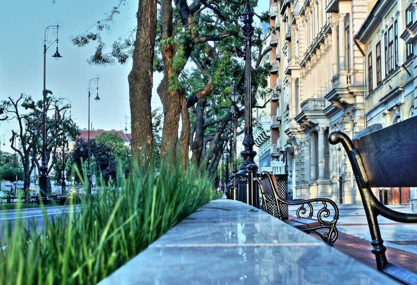 Одноместный Номер Basic, Central