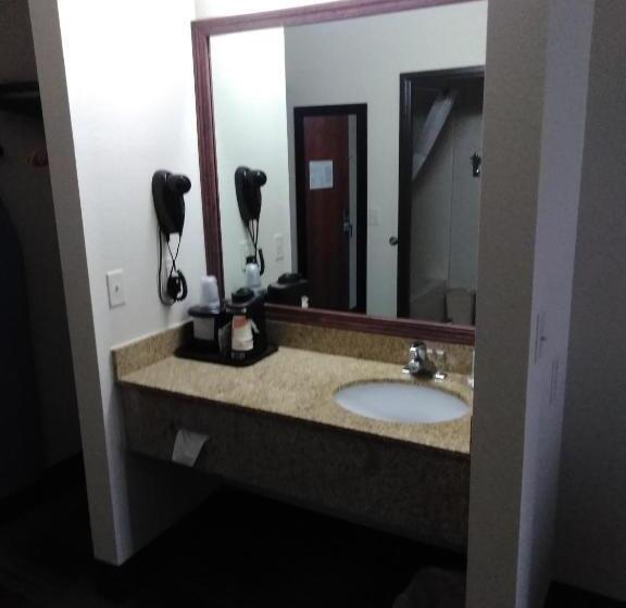 스탠다드 룸 킹사이즈 침대, Quality Inn & Suites