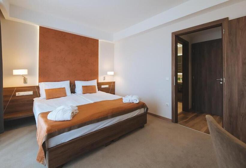 Люкс Повышенной Комфортности, Imola Hotel Platán