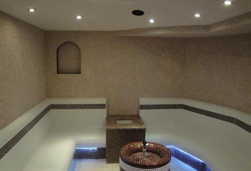 آپارتمان لوکس 1 خوابه, Aleksandar Villa & Spa