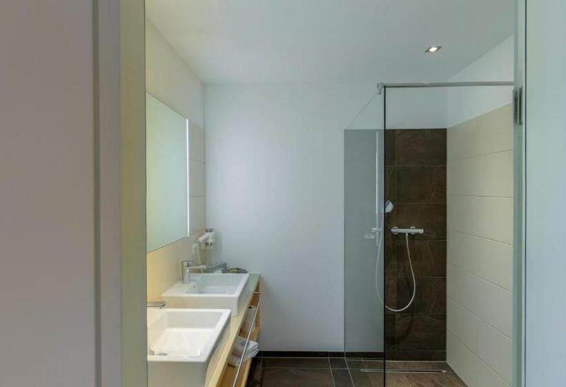 Апартаменты 1 Спальня, Aparthotel Alpinresort Damüls