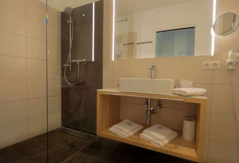 Апартаменты 1 Спальня, Aparthotel Alpinresort Damüls