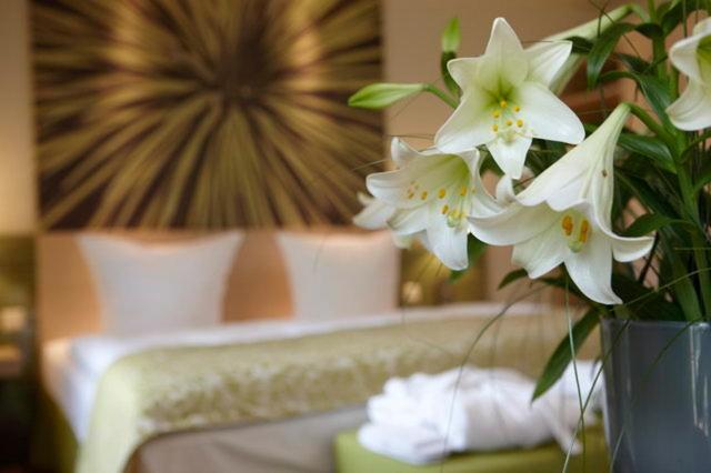 اتاق پرمیوم, Kur Und Wellnesshaus Spreebalance, The Originals Relais