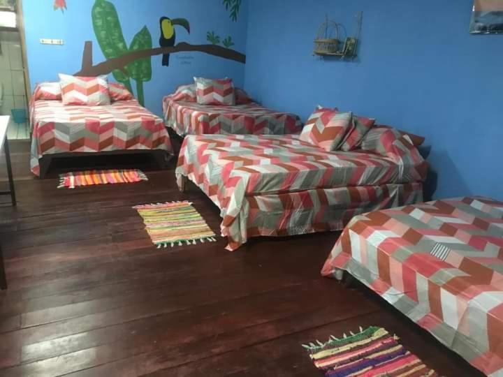 اتاق خانوادگی, Cahuita