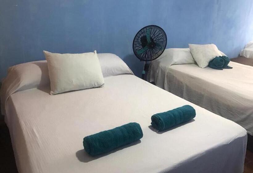 اتاق استاندارد سه نفره, Cahuita