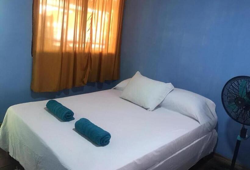 اتاق استاندارد سه نفره, Cahuita