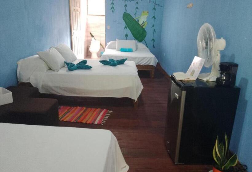 اتاق استاندارد سه نفره, Cahuita