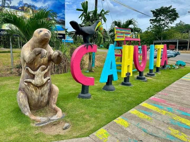 اتاق استاندارد, Cahuita