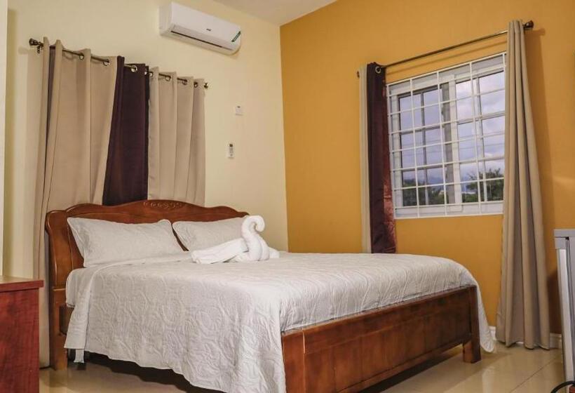 اتاق استاندارد با تخت بزرگ, Incognito Culture Rooms
