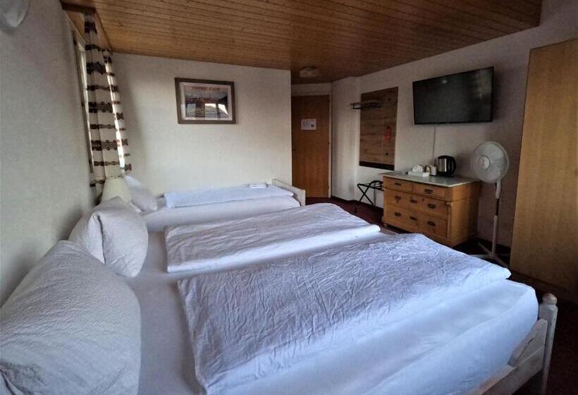 Номер Стандарт Трехместный, Alpenrose Hotel And Gardens