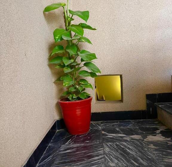 اتاق لوکس یک تخته, Karachi Palace Guest House