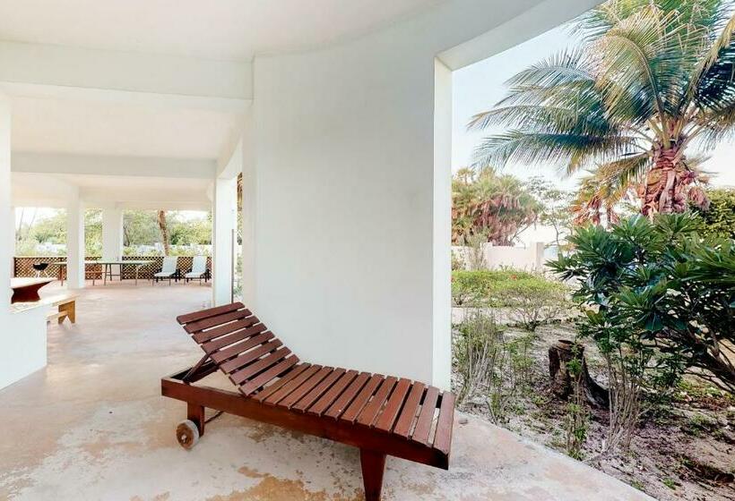 Студия Стандарт, Garden @ Casa Nettuno