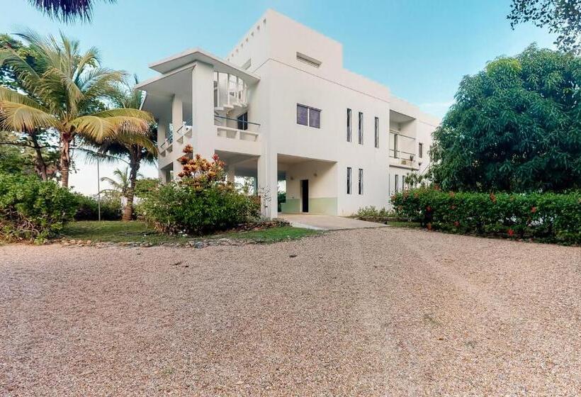 Студия Стандарт, Garden @ Casa Nettuno