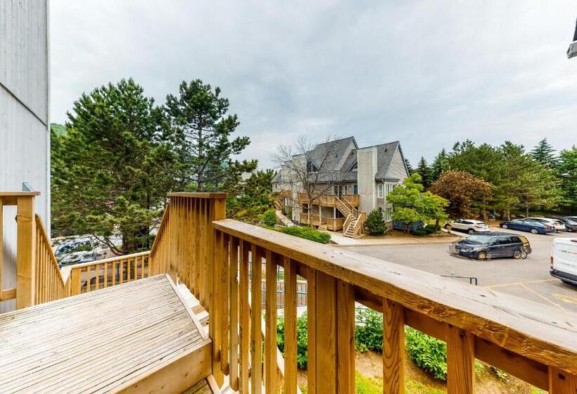 Студия Стандарт, Condo 211 At North Creek Resort