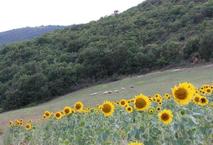 침실 1개 아파트, Agriturismo Roccagelli