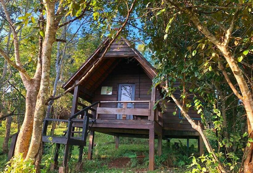 اتاق استاندارد با چشم‌انداز کوهستان, Nature Lodge