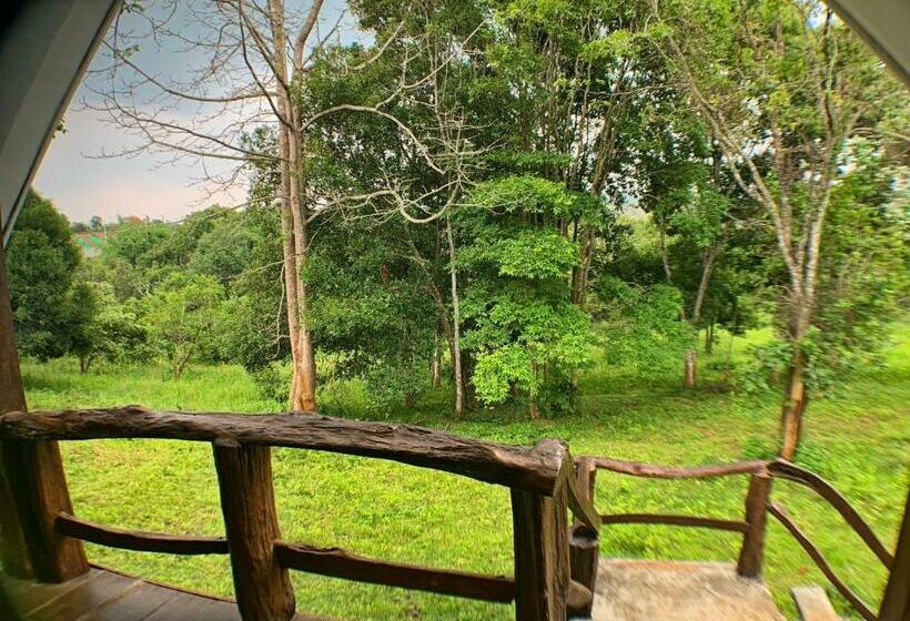 اتاق استاندارد با چشم‌انداز کوهستان, Nature Lodge