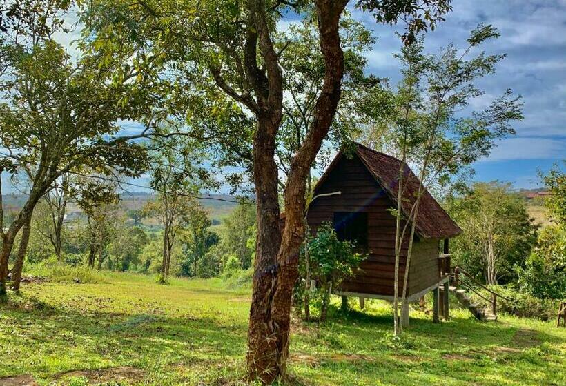 اتاق استاندارد با چشم‌انداز کوهستان, Nature Lodge