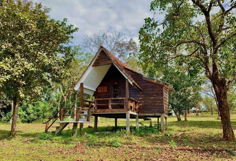 اتاق استاندارد با چشم‌انداز کوهستان, Nature Lodge