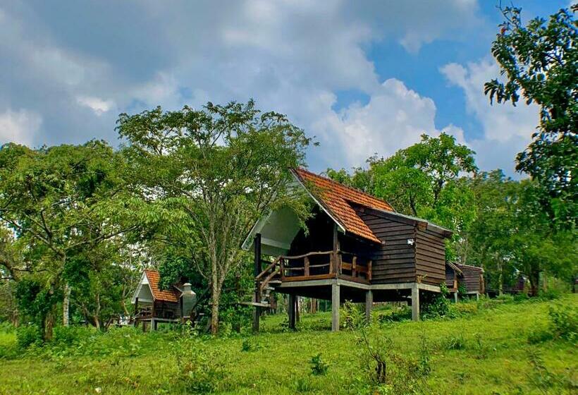 اتاق استاندارد با چشم‌انداز کوهستان, Nature Lodge