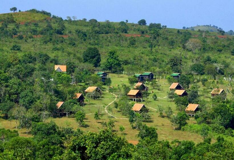اتاق لوکس با بالکن, Nature Lodge