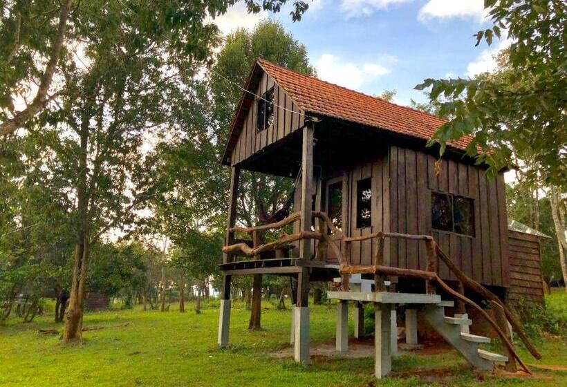 اتاق خانوادگی با چشم‌انداز کوه, Nature Lodge