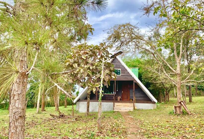 بنگله خانوادگی, Nature Lodge